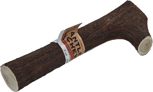 Full Antler Large XXL