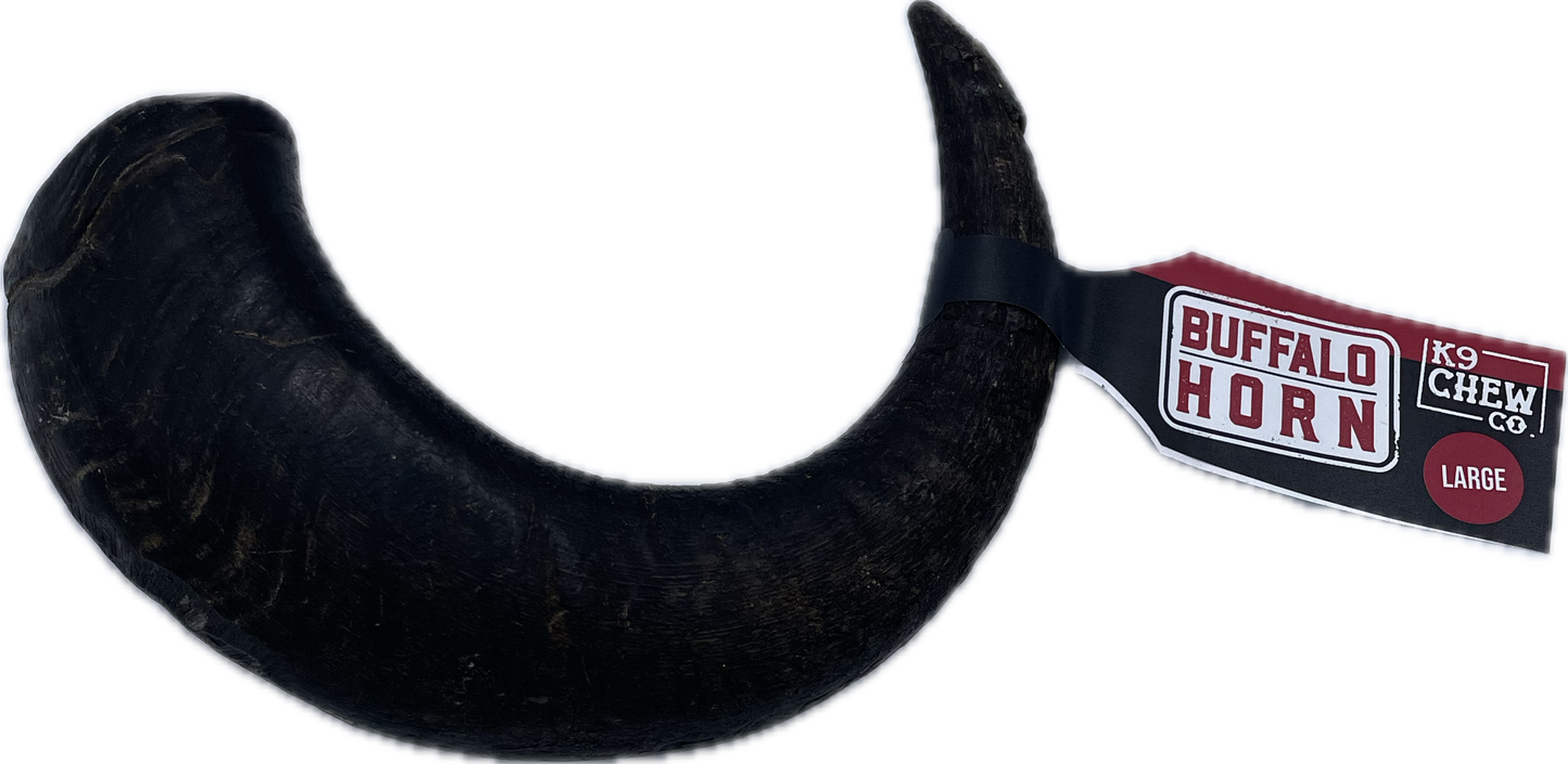 Buffalo Horn Large SINGLE