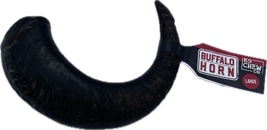 Buffalo Horn Large SINGLE
