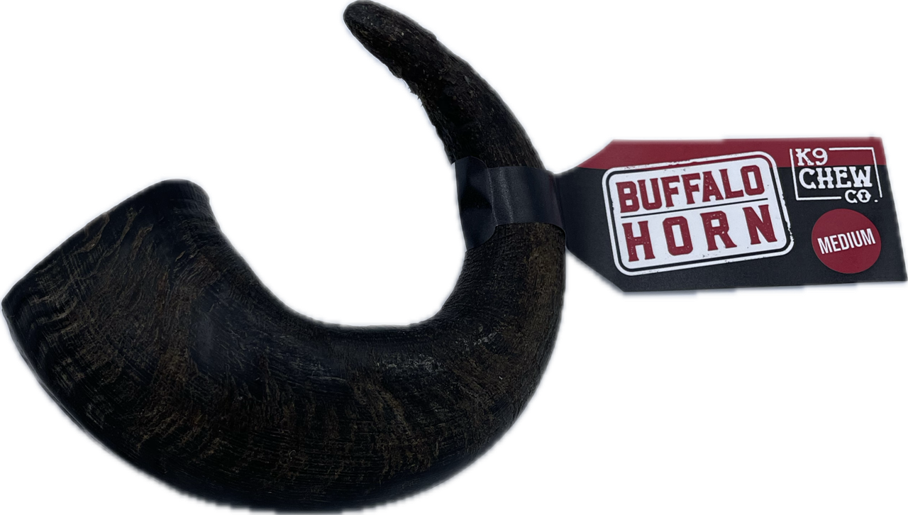 Buffalo Horn Large SINGLE