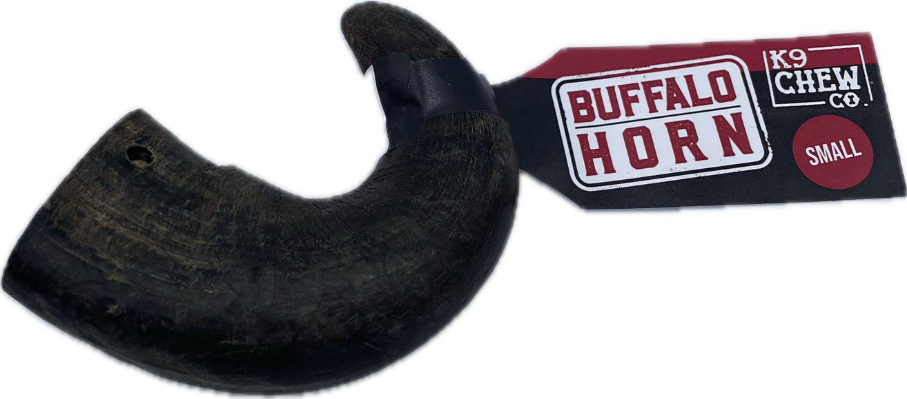 Buffalo Horn Large SINGLE