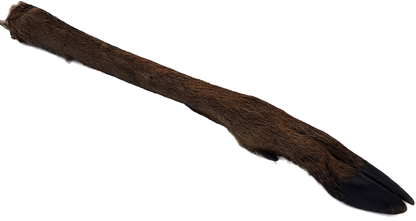 Hairy Doe Legs (Venison) 10 pack