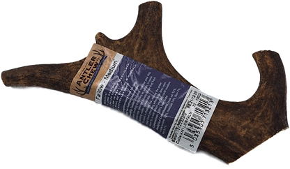 Fallow Antler