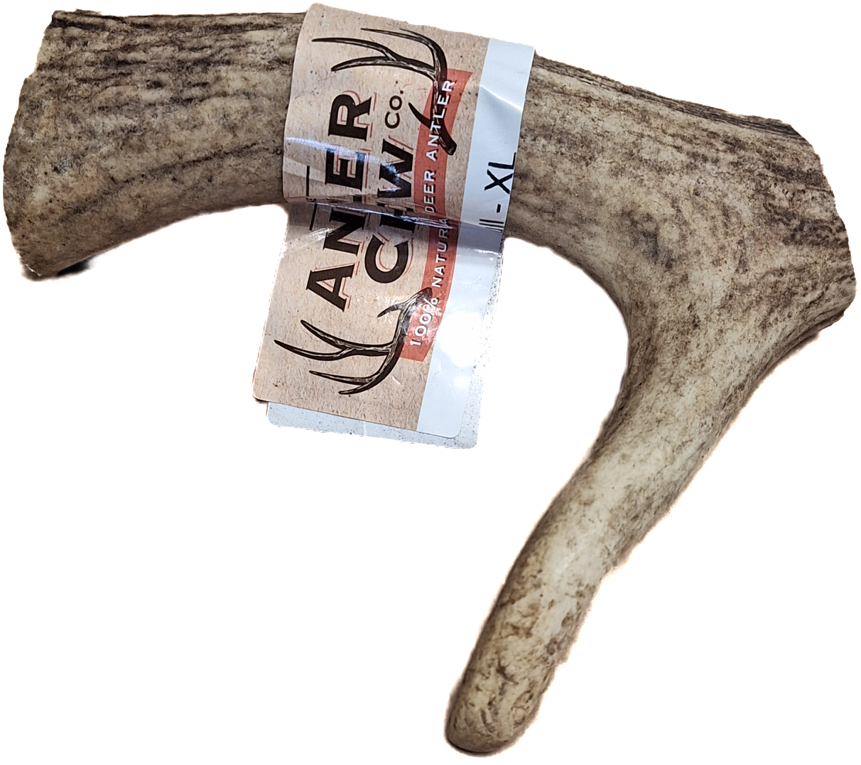 Full Antler Large XL