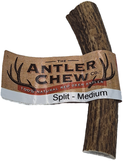 Split Antler Easy Fat Medium