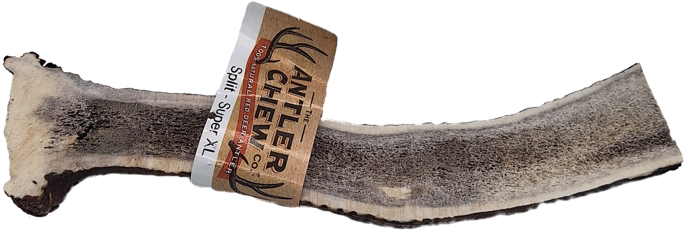 Split Antler Easy Eat