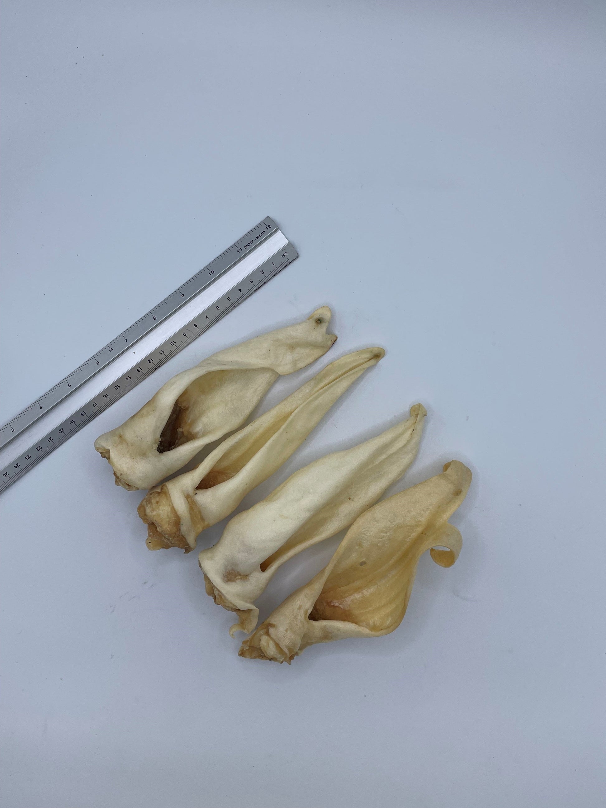Goat Ears No Hair 1kg