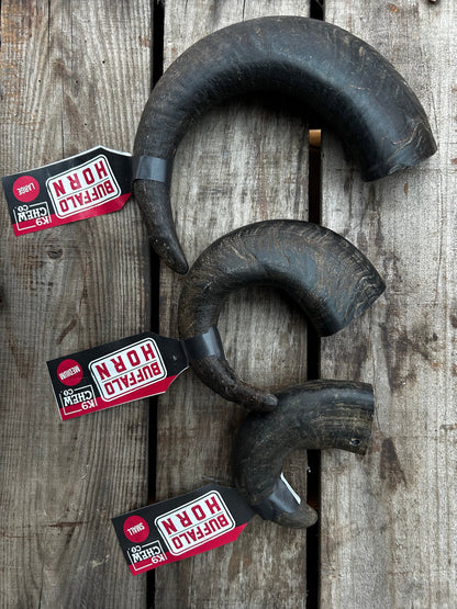 Buffalo Horn SINGLE