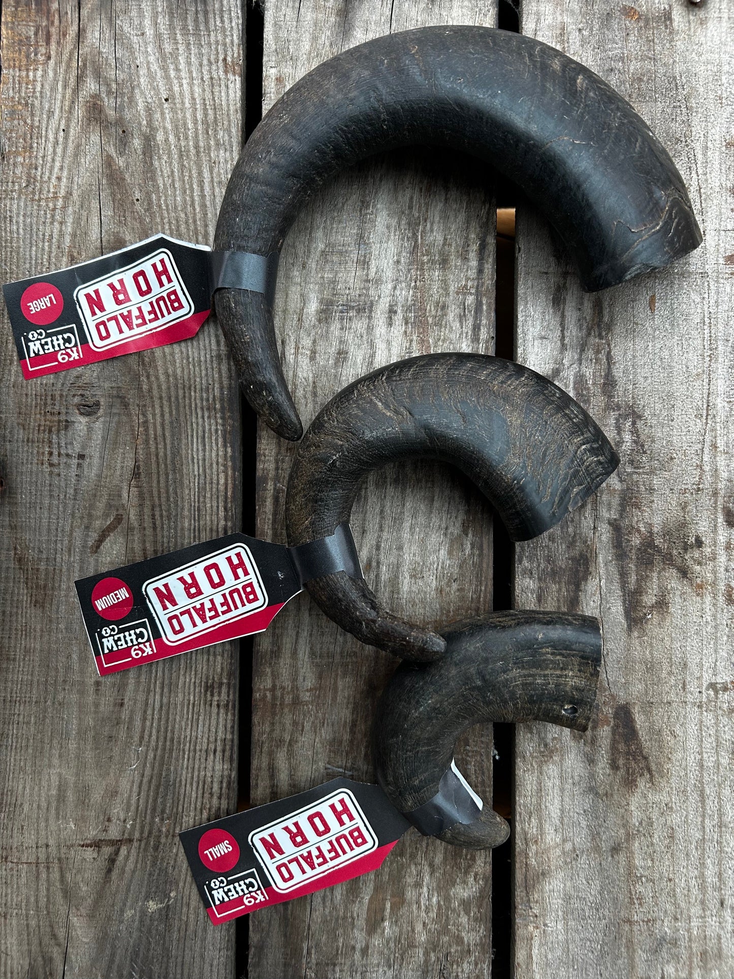 Buffalo Horn SINGLE