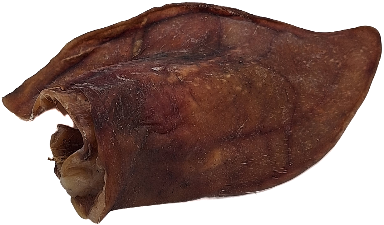 Pigs Ears pack 50