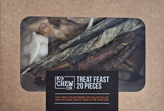 Treat Feast Box - 20 Piece